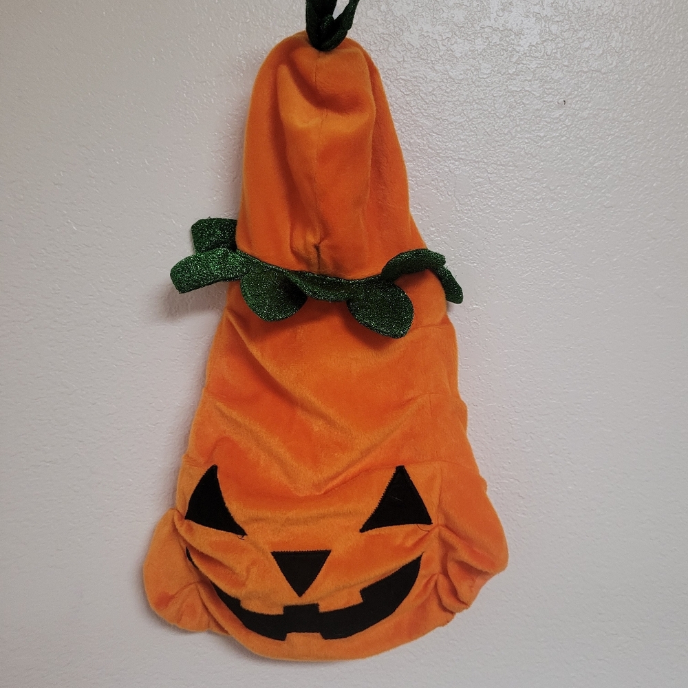 Pumpkin Costume for Dogs - Orange and Black